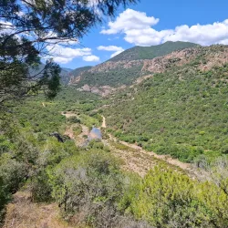 Parco Naturale di Monte Arcosu - Villacidro