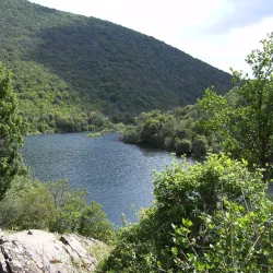 Parco Naturale di Monte Arcosu - Villacidro