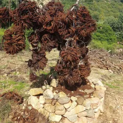 Parco Naturale di Monte Arcosu - Villacidro
