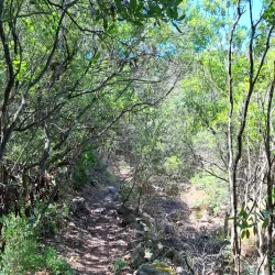 Parco Naturale di Monte Arcosu - Villacidro