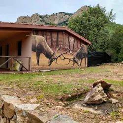 Parco Naturale di Monte Arcosu - Villacidro