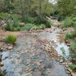 Parco Naturale di Monte Arcosu - Villacidro