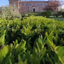 Castello Visconteo - Voghera