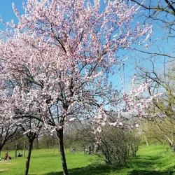 Parco della Vernavola - Voghera