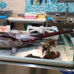 Local Calabrian Cuisine Experiences - Zambrone