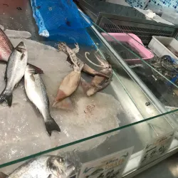 Local Calabrian Cuisine Experiences - Zambrone