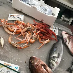 Local Calabrian Cuisine Experiences - Zambrone