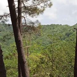 Monte Poro - Zambrone