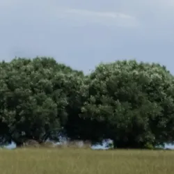 Monte Poro - Zambrone