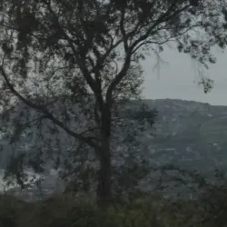 Monte Poro - Zambrone