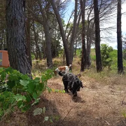 Monte Poro - Zambrone