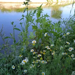 Monte Poro - Zambrone