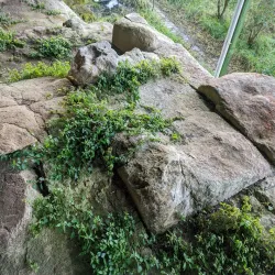 Parco Archeologico di Hipponion - Zambrone