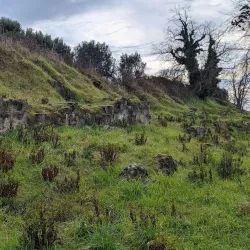 Parco Archeologico di Hipponion - Zambrone