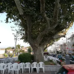 Annual Festivals and Events - Zungoli