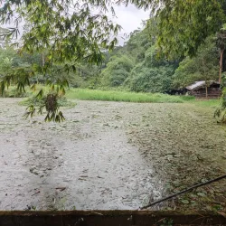 Banco National Park - Adzope