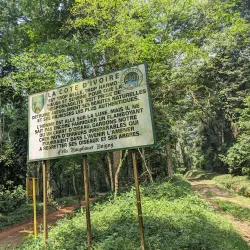 Banco National Park - Adzope