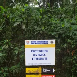 Banco National Park - Adzope