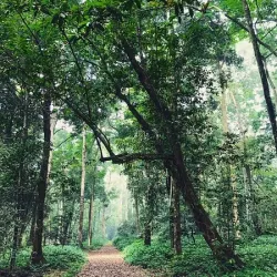 Banco National Park - Adzope