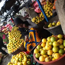 Local Markets and Street Food - Adzope