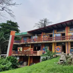 Traditional Dance and Music Performances - Adzope