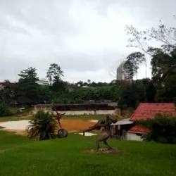 Traditional Dance and Music Performances - Adzope