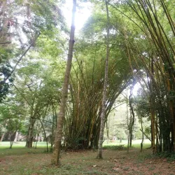 Daloa Botanical Garden - Daloa