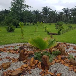 Daloa Botanical Garden - Daloa