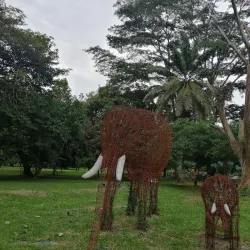 Daloa Botanical Garden - Daloa