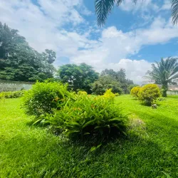 Daloa Botanical Garden - Daloa