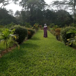 Daloa Botanical Garden - Daloa