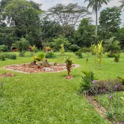 Daloa Botanical Garden - Daloa