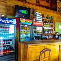 Little Ochie - Alligator Pond