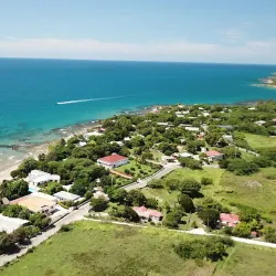 Treasure Beach - Alligator Pond