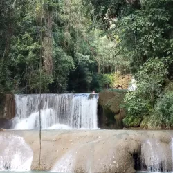 Y.S. Falls - Alligator Pond