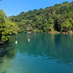 Blue Lagoon - Bamboo