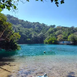 Blue Lagoon - Bamboo