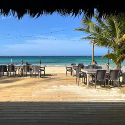 Blue Mountains - Bamboo