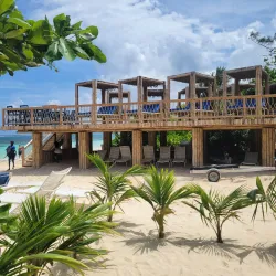 Blue Mountains - Bamboo