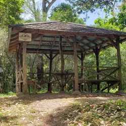 Holywell Recreation Area - Bamboo