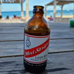 Navy Island - Bamboo