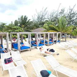 Navy Island - Bamboo