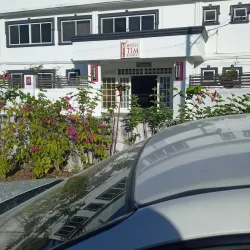 Port Antonio Town - Bamboo