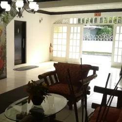 Port Antonio Town - Bamboo