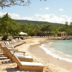 Portland Parish Beaches - Bamboo