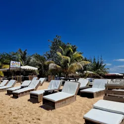 Portland Parish Beaches - Bamboo