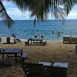 Portland Parish Beaches - Bamboo