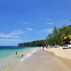 Portland Parish Beaches - Bamboo
