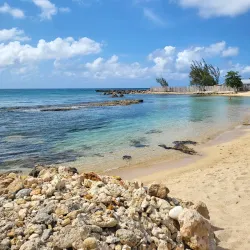 Portland Parish Beaches - Bamboo