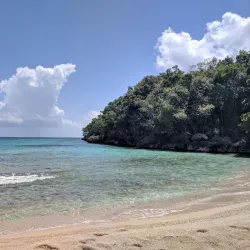 Portland Parish Beaches - Bamboo